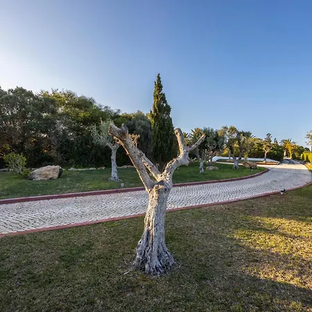 Casa Kube ヴィラ *